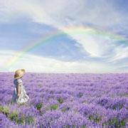 17张超治愈！带薰衣草的小姑娘女生头像合集