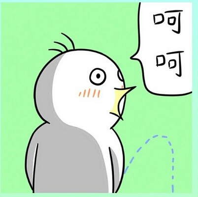 猴子版“别再放屁了”表情包来啦