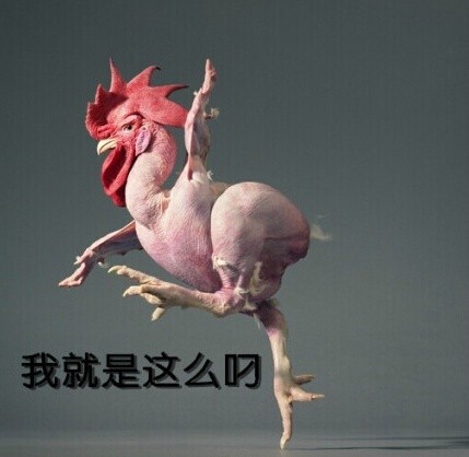 无毛鸡搞笑表情包合集来啦