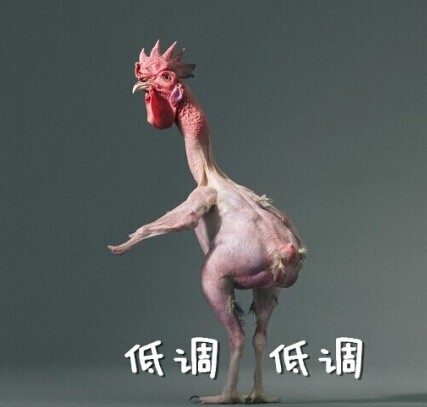 无毛鸡搞笑表情包合集来啦