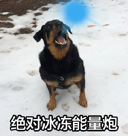 狗子口吐光波表情包来啦