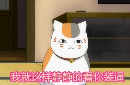 猫咪老师的可爱表情包来啦