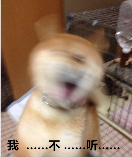 天冷不想动？汪星人表情包求帮忙上厕所