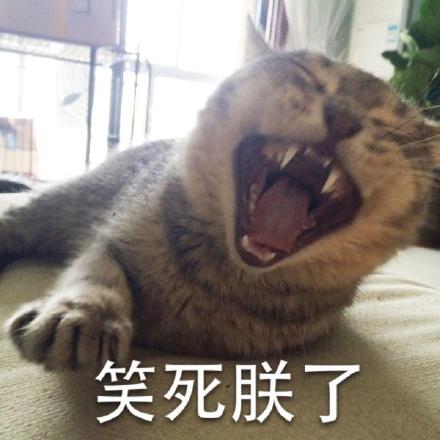 这套喵星人警察蜀黍表情包太逗了