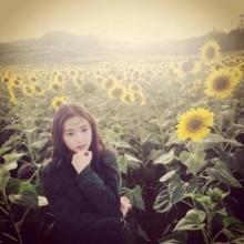 女生向日葵头像 32张清新森系氛围感美图合集