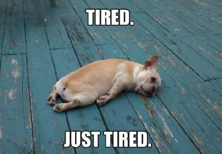 节后返工返校第一天 你是不是只想躺平？