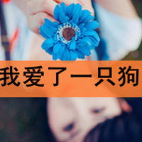 女生带字霸气头像合集！48张干净利落的飒爽风格图