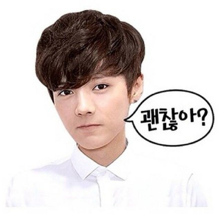 鹿晗同款萌萌哒聊天表情合集