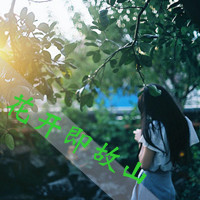 48张带字女生头像 日光倾城却暖不了心