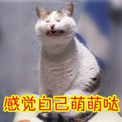 汪星人喵星人版！这套“蛋蛋的忧桑”表情包太戳人了
