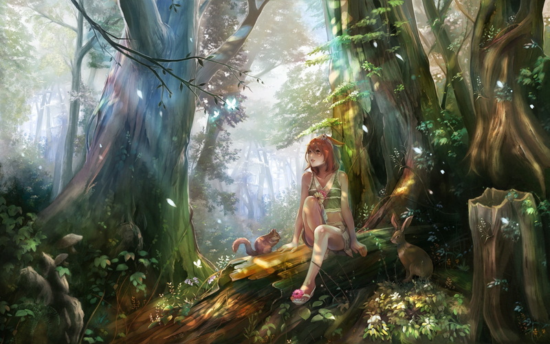 绝美奇幻森林动漫壁纸合集