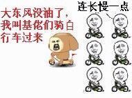 又来啦！金馆长无节操斗图表情包第N波