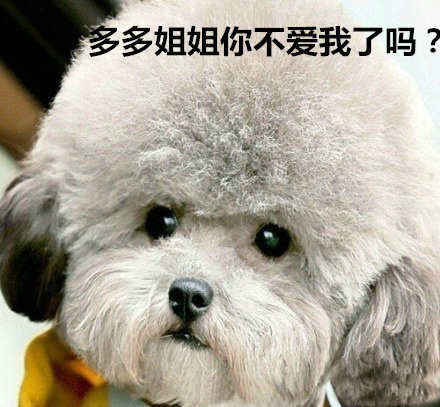 单身狗专属表情包合集