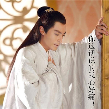 白子画专属表情包合集来了