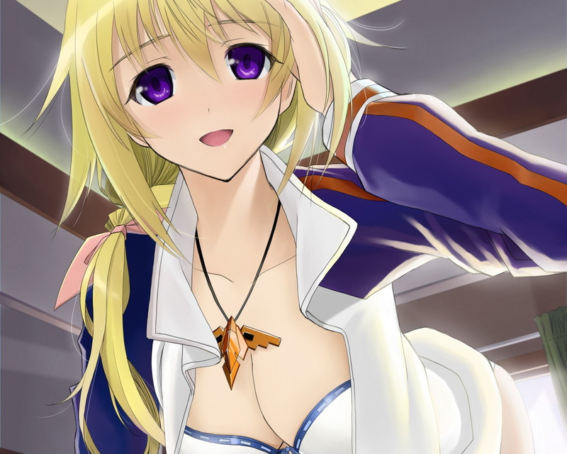 无限斯特拉托斯夏洛特·德诺阿720P高清壁纸