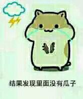 仓鼠掉瓜子表情包合集来了
