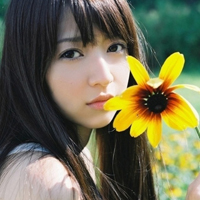 女生QQ文艺小清新头像合集 45张氛围感拉满