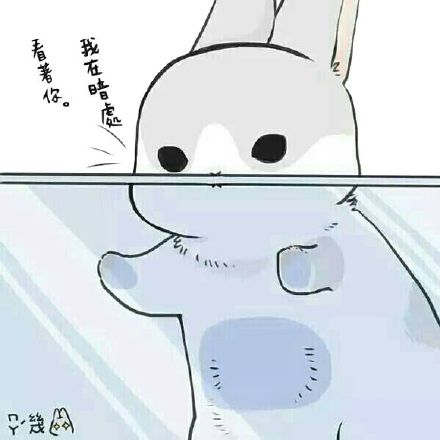 软萌几兔表情包来啦