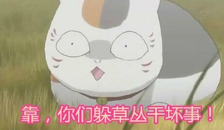 猫咪老师的可爱表情包来啦