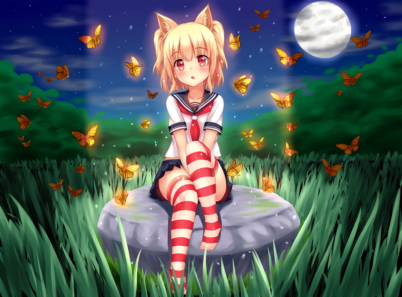 放学夜晚的猫耳少女壁纸