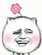 猥琐猫带小花的表情包合集