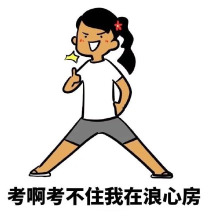 学生党懂的！《野子》考试版表情包来了