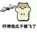这款仓鼠表情包火了！配文“真正的仓鼠从不回头看瓜子”