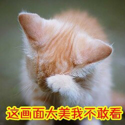 汪星人喵星人版！这套“蛋蛋的忧桑”表情包太戳人了
