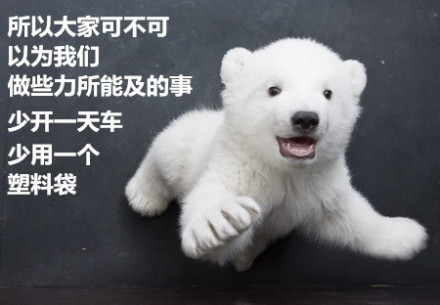 北极熊的心里话：全球变暖正在毁掉我的家