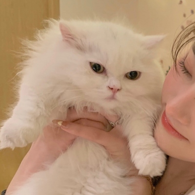 14张超可爱“对象不是人”情头！玩网党必存的高清好看情侣头像