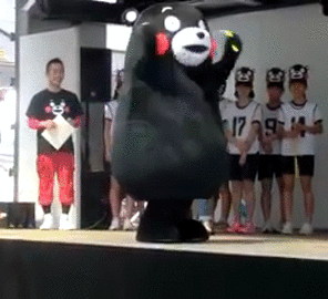 熊笨熊蠢萌表情包合集来了