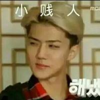 世勋专属表情包合集