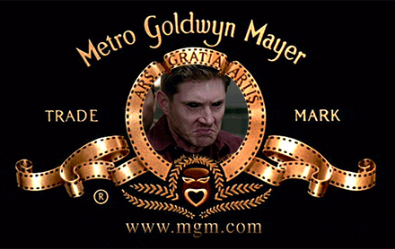 米高梅狮子吼表情包合集来啦，最后一个画风突然变萌