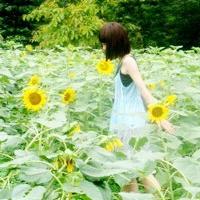 女生向日葵头像 32张清新森系氛围感美图合集