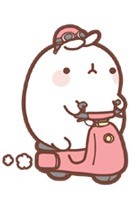 molang兔表情包合集来啦，软萌治愈又好用