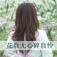 48张带字伤感女生背影头像 花自无心碎自怜