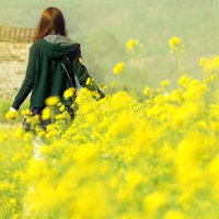 女生QQ文艺小清新头像合集 45张氛围感拉满