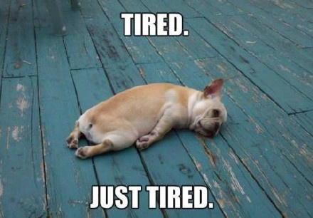 节后返工返校第一天 你是不是只想躺平？