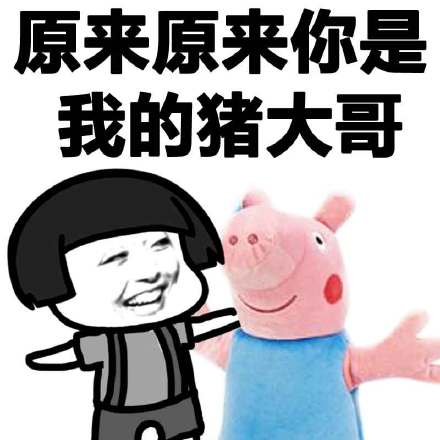 笑到打鸣！金馆长版谐音歌词表情包来了