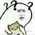 what the fuck？疑问表情包合集来了