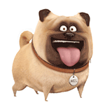 爱宠大机密QQ表情包来啦 聊天斗图直接用