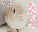 软萌小兔QQ表情包来啦！