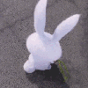 《爱宠大机密》机密兔表情包上线啦