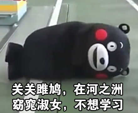把《关雎》改成摆烂宣言？这套熊本熊表情包太懂摸鱼了