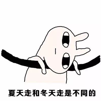 恶搞兔表情包来了！走在马路上就像看一个智障