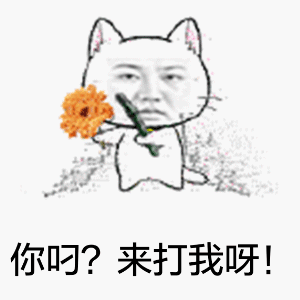 走，爷带你兜风去！