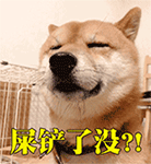 可爱柴犬QQ表情包合集