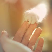 女生手部唯美意境头像合集 21张好看头像分享