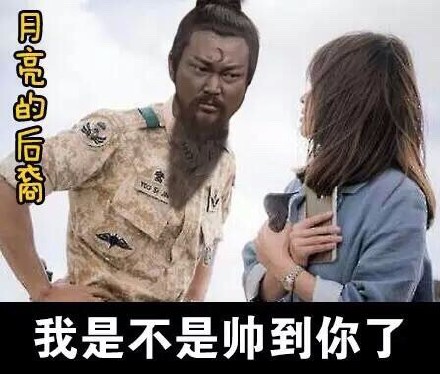 「月亮的后裔」斗图表情包合集来了