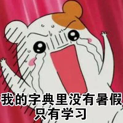 仓鼠管家学习表情包来啦